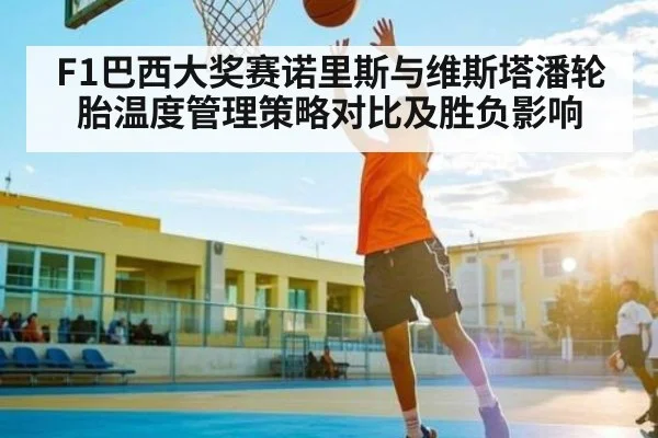 F1巴西大奖赛诺里斯与维斯塔潘轮胎温度管理策略对比及胜负影响
